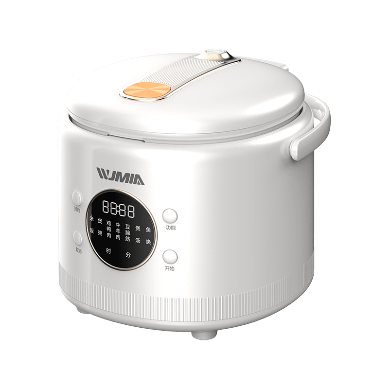 15FJ03 1.5L Small Household Compact Digital Rice Cooker